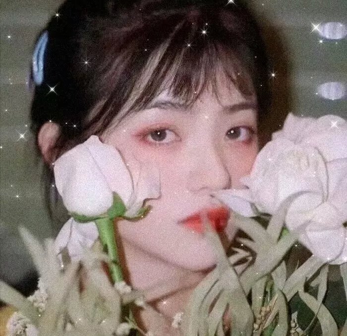 爱在别乡的季节