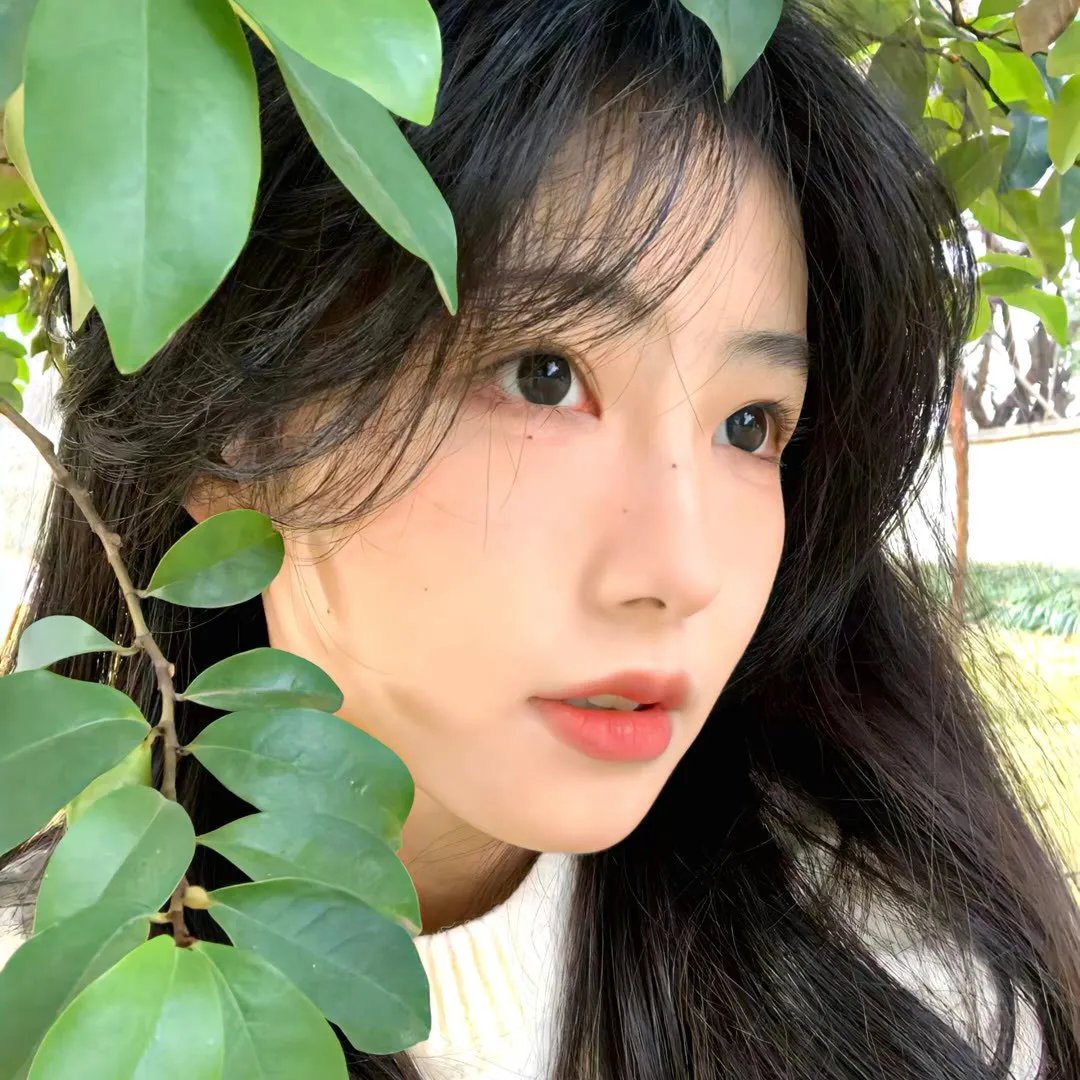 我们等待自由